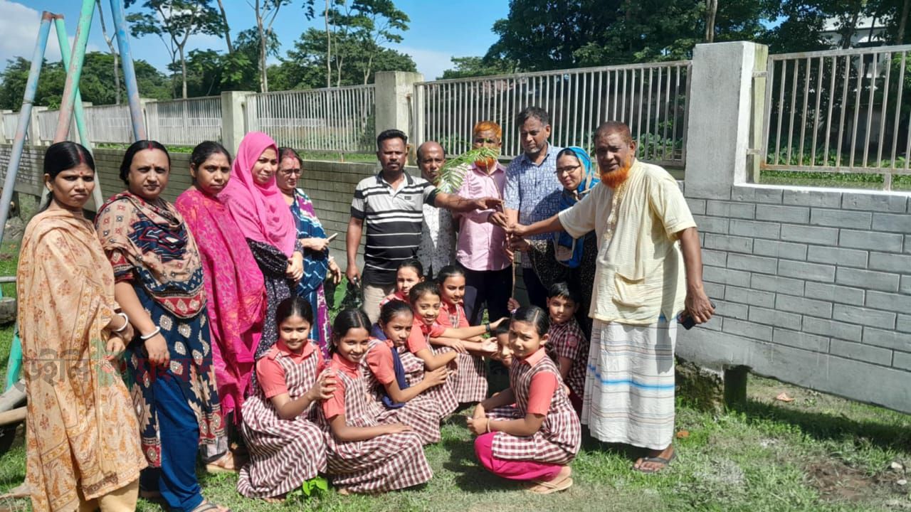 শান্তিগঞ্জে ডুংরিয়া সরকারি প্রাথমিক বিদ্যালয়ে জাতীয়  বৃক্ষরোপণ কর্মসূচি 