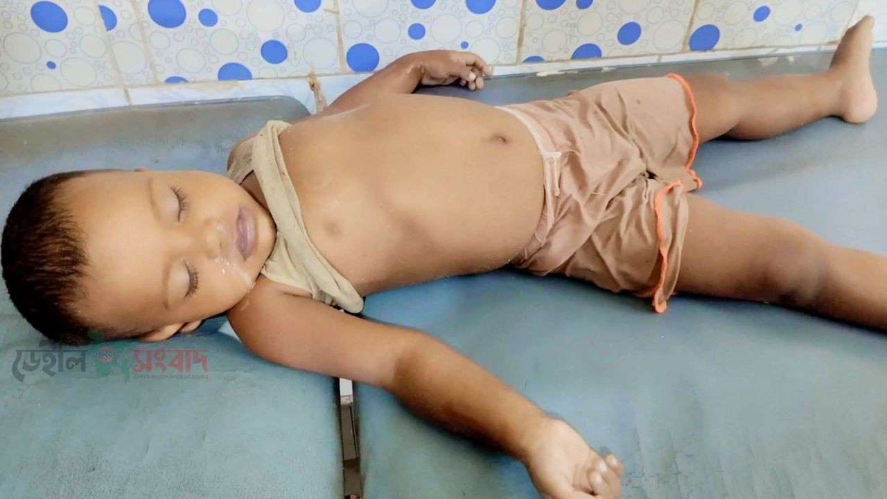 বালিয়াডাঙ্গীতে পুকূরে  ডুবে শিশুর করুণ মৃত্যু।