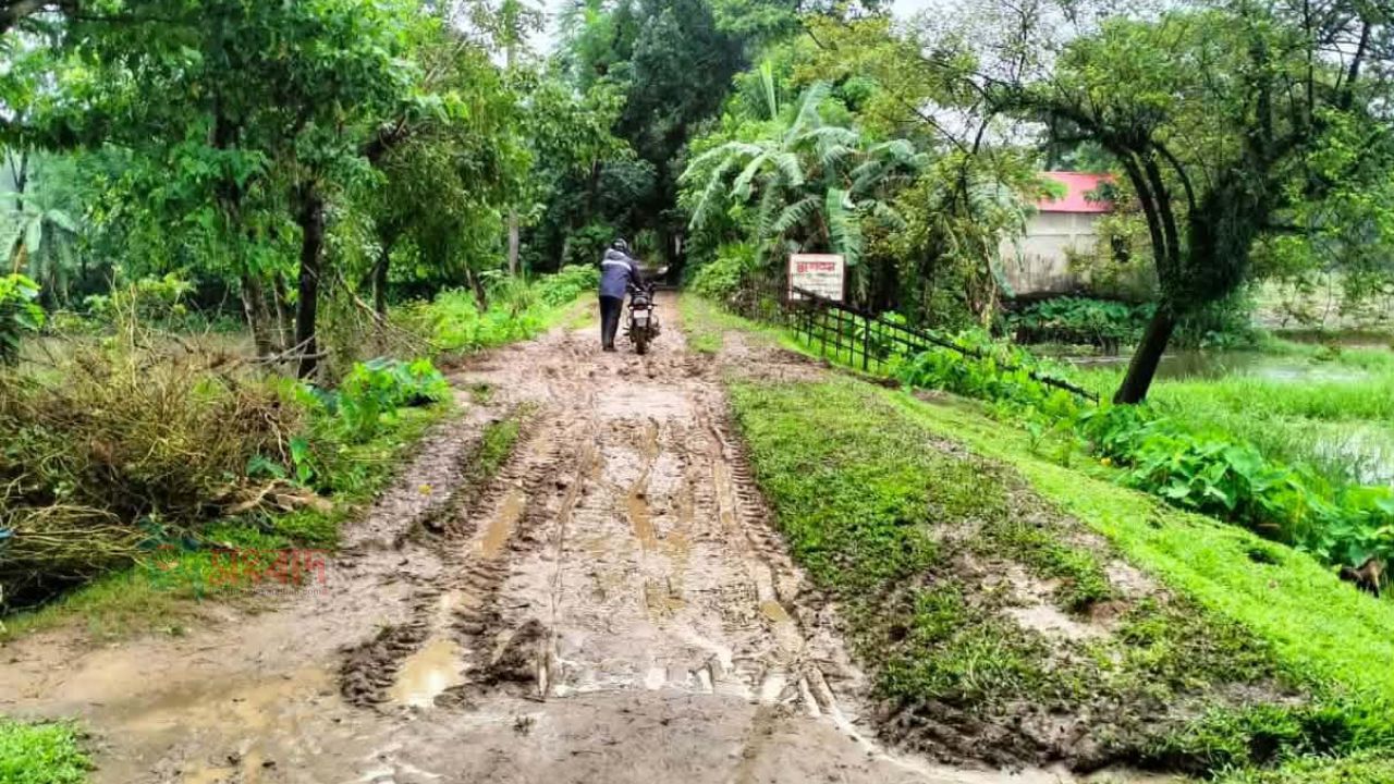 একটি সড়কের জন্য থমকে আছে হাজারো মানুষের জীবনযাত্রা নরসিংপুর-রগারপাড় বালিউরা সড়ক পিচ উঠে জেগেছে গর্ত, বৃষ্টি হলেই মরণফাঁদ'