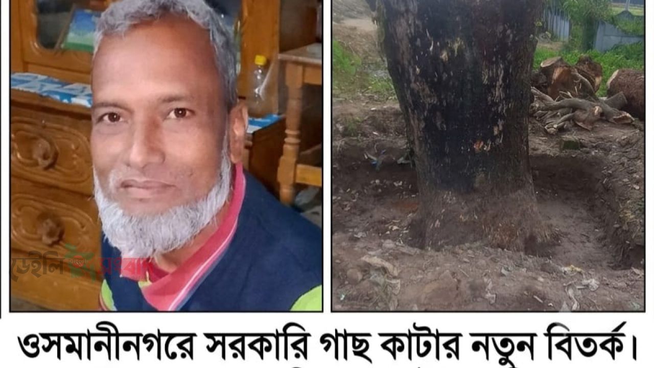 ওসমানীনগরে সামাজিক বনায়নের গাছ লুট: ভুয়া চালানে ইউএনওকে বিভ্রান্তের চেষ্টা