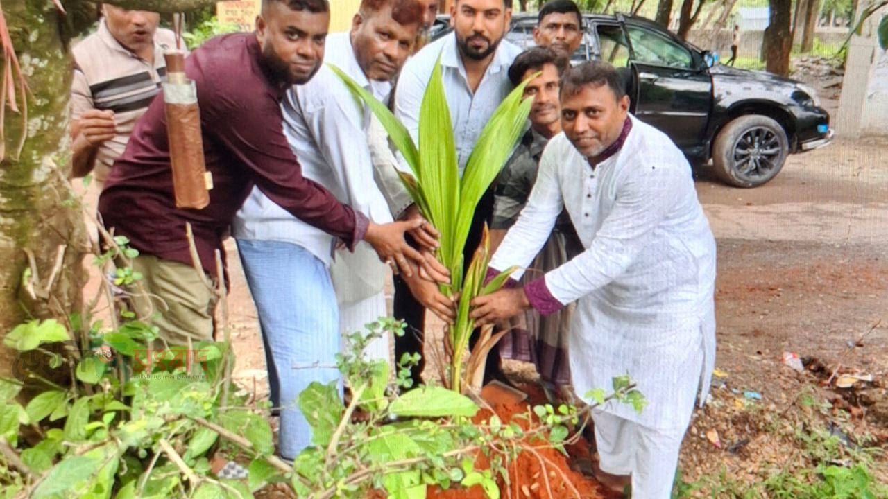 পটিয়ার আশিয়া যুবদলের উদ্যোগে বৃক্ষরোপণ কর্মসূচির উদ্বোধন 