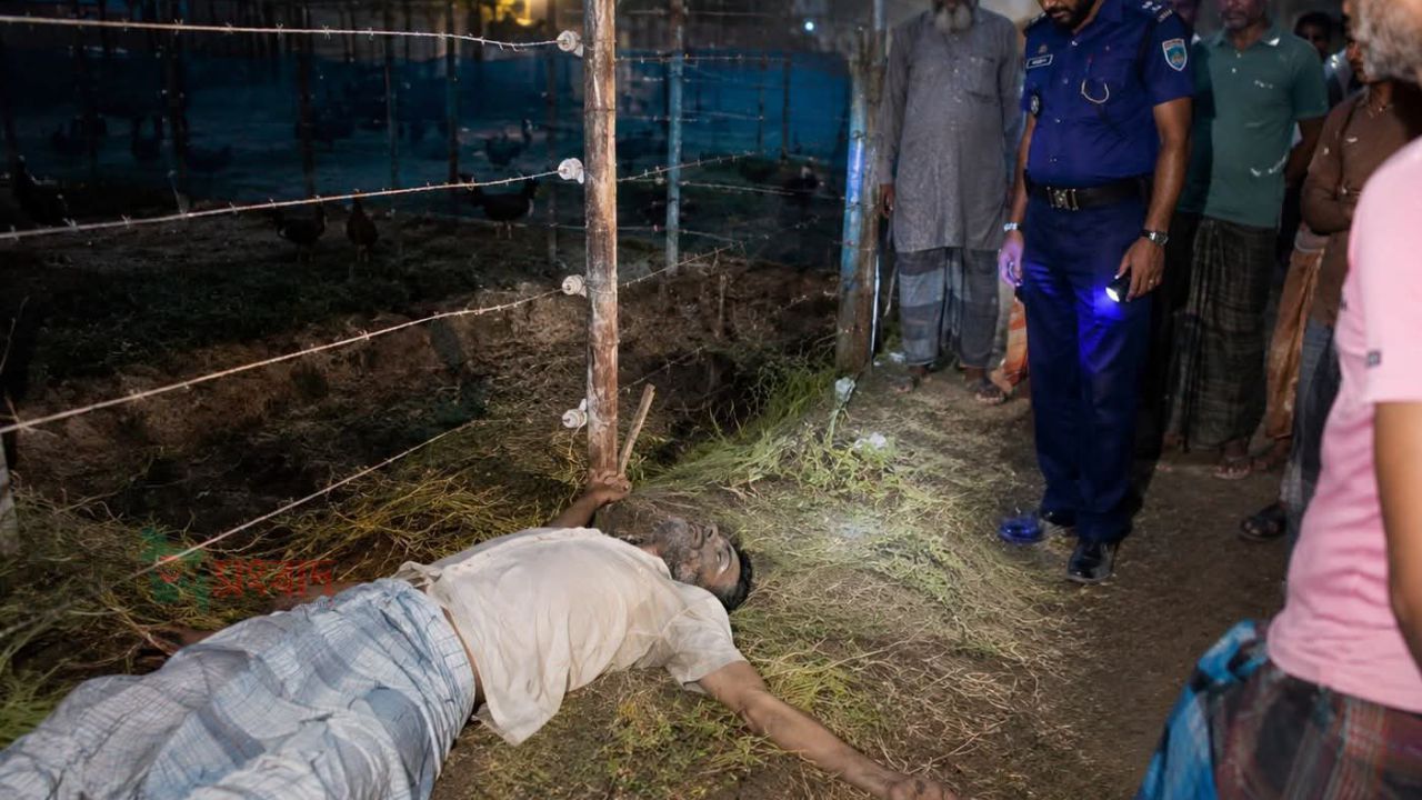 লালপুরে মুরগির খামারের বৈদ্যুতিক ফাঁদে প্রাণ গেল বৃদ্ধের