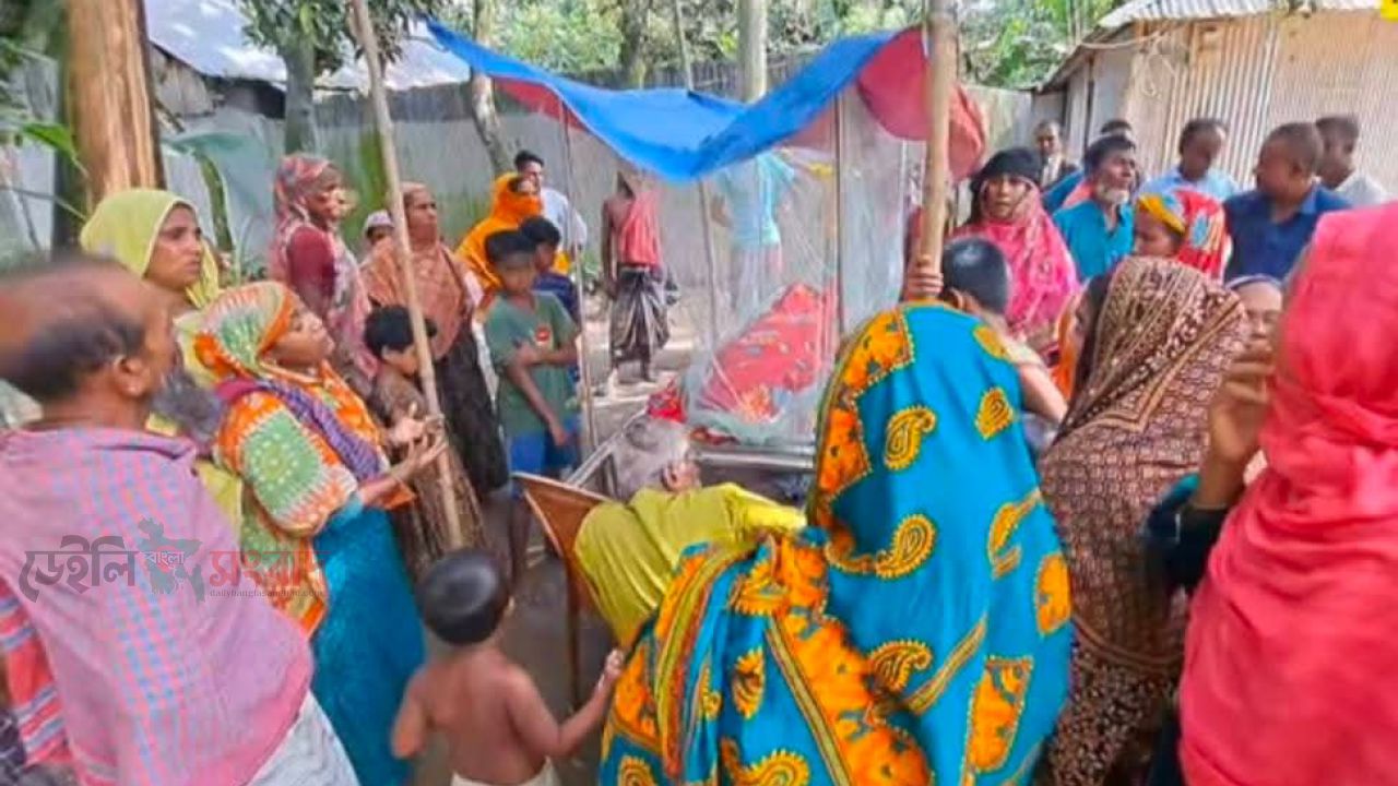 গোবিন্দগঞ্জে বিদ্যুৎস্পৃষ্টে ২ জনের মৃত্যু 