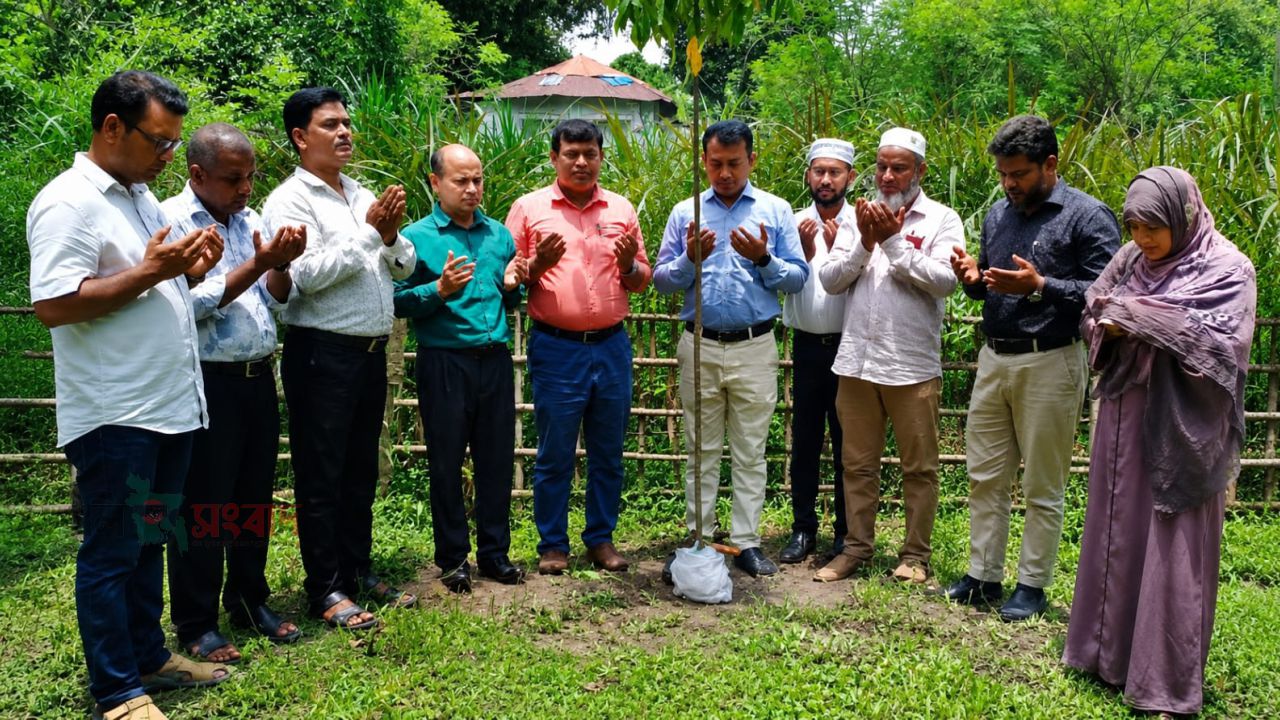 পঞ্চগড় চিনিকলে বিএসএফআইসি জিয়া পরিষদের বৃক্ষরোপণ কর্মসূচির উদ্বোধন