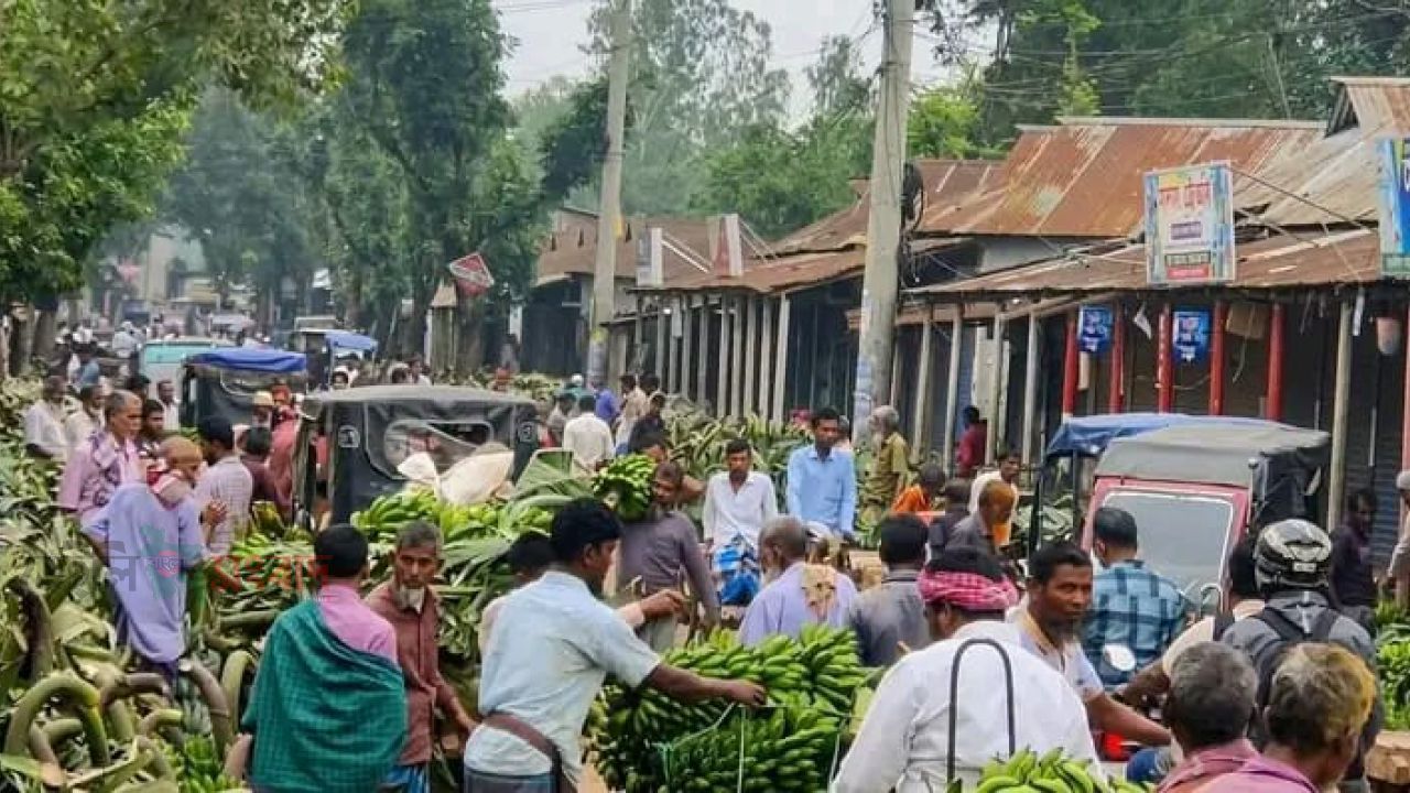 ঘাটাইলে সড়ক দখল করে বসছে হাট-বাজার, যানজটে স্থবির জনজীবন