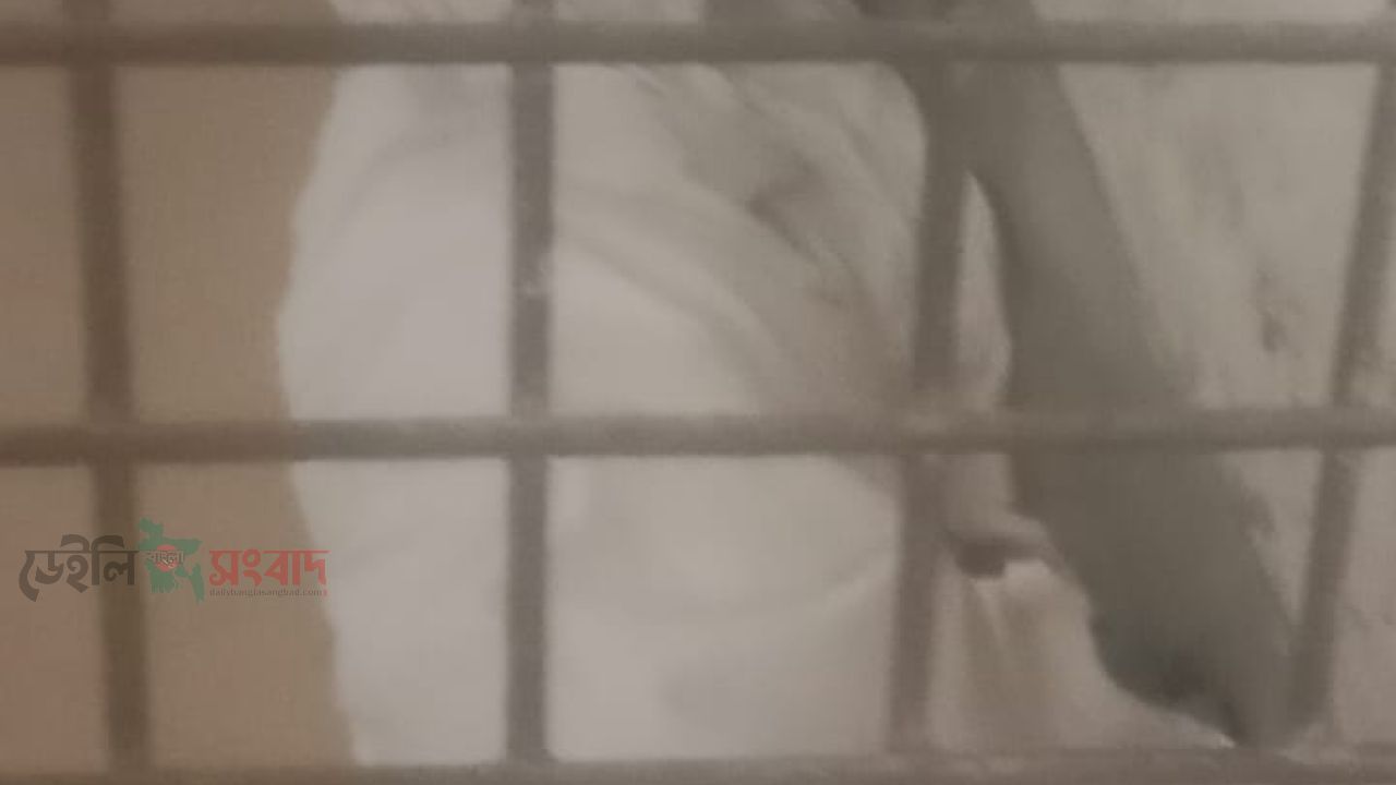 পীরগঞ্জে বজ্রপাতে  দুইজনের মৃত্যু, আহত দুই জন।