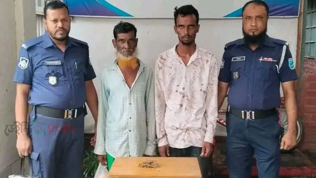 ঘাটাইলে ১০ পিস ইয়াবাসহ দুই মাদক কারবারি গ্রেপ্তার