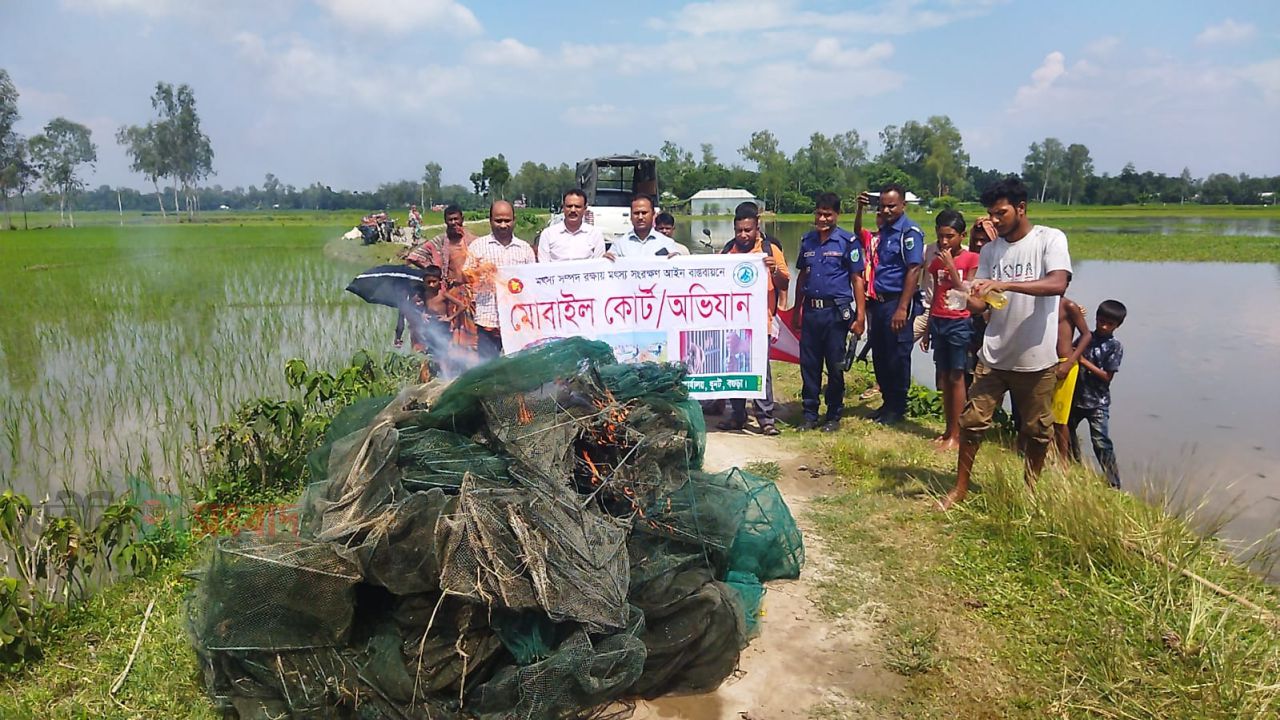 ধুনটে মোবাইল কোর্টে ৩২টি চায়না দুয়ারী জাল জব্দ, পুড়িয়ে ধ্বংস