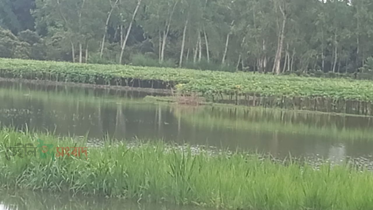 ভোমরাদহে উজানের পানিতে ভেসে জলাবদ্ধতা সৃষ্টি। 