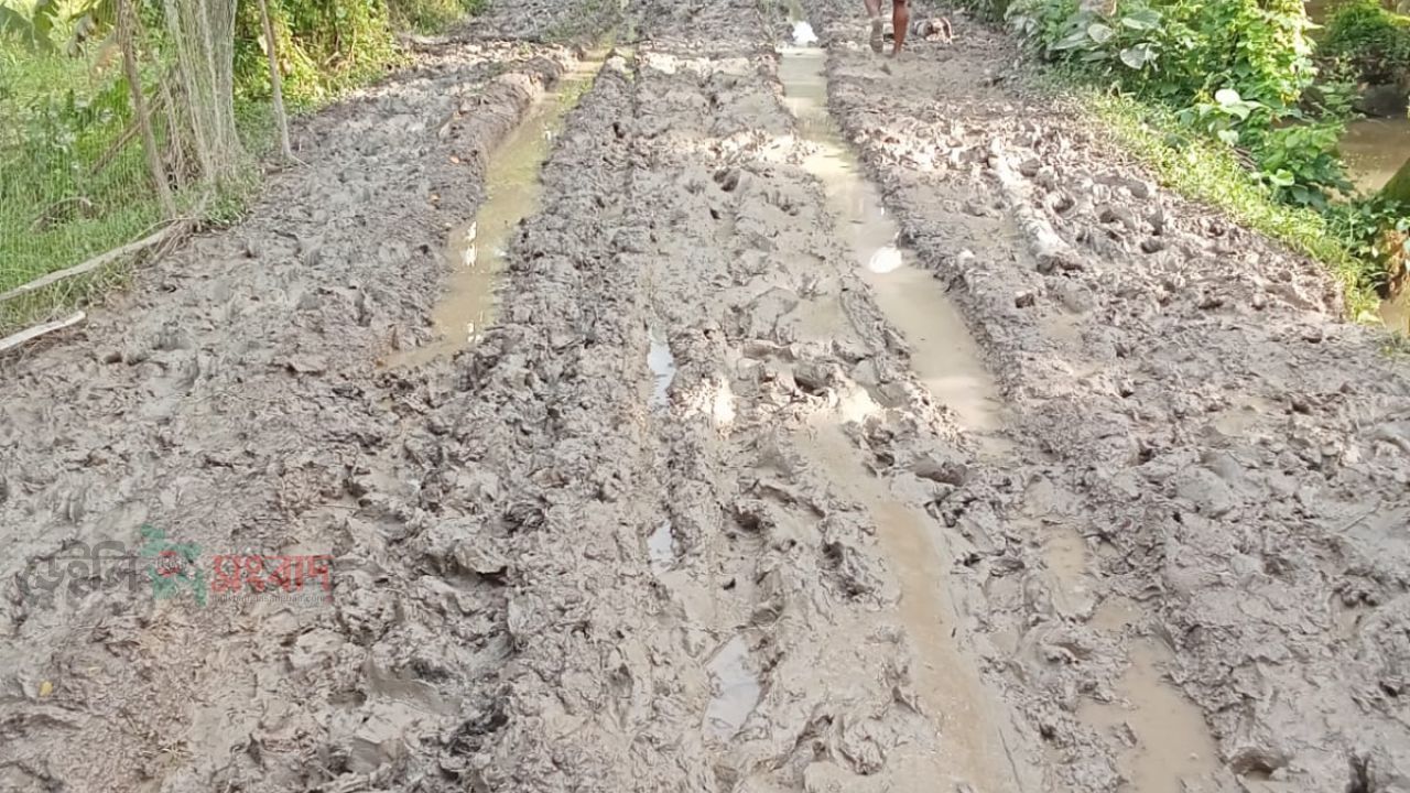 আশ্বাসেই সীমাবদ্ধ উন্নয়ন: গলাচিপায় কাঁচা সড়কে বন্দি শিক্ষার্থীদের ভবিষ্যৎ