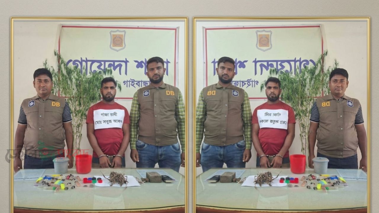 গাইবান্ধায় ৪০ গ্রাম গাঁজাসহ যুবক গ্রেপ্তার, গাঁজার গাছ ও সেবনের সরঞ্জাম উদ্ধার