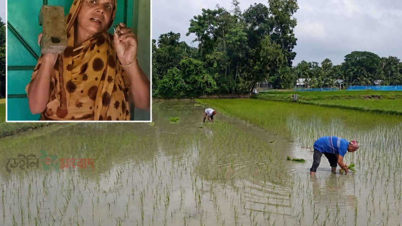 ফুলপুরে মামার সঙ্গে ওয়ারিশি সম্পত্তি নিয়ে বিরোধ, ভাগিনাদের বিরুদ্ধে হামলা ও চাষাবাদে বাধার অভিযোগ