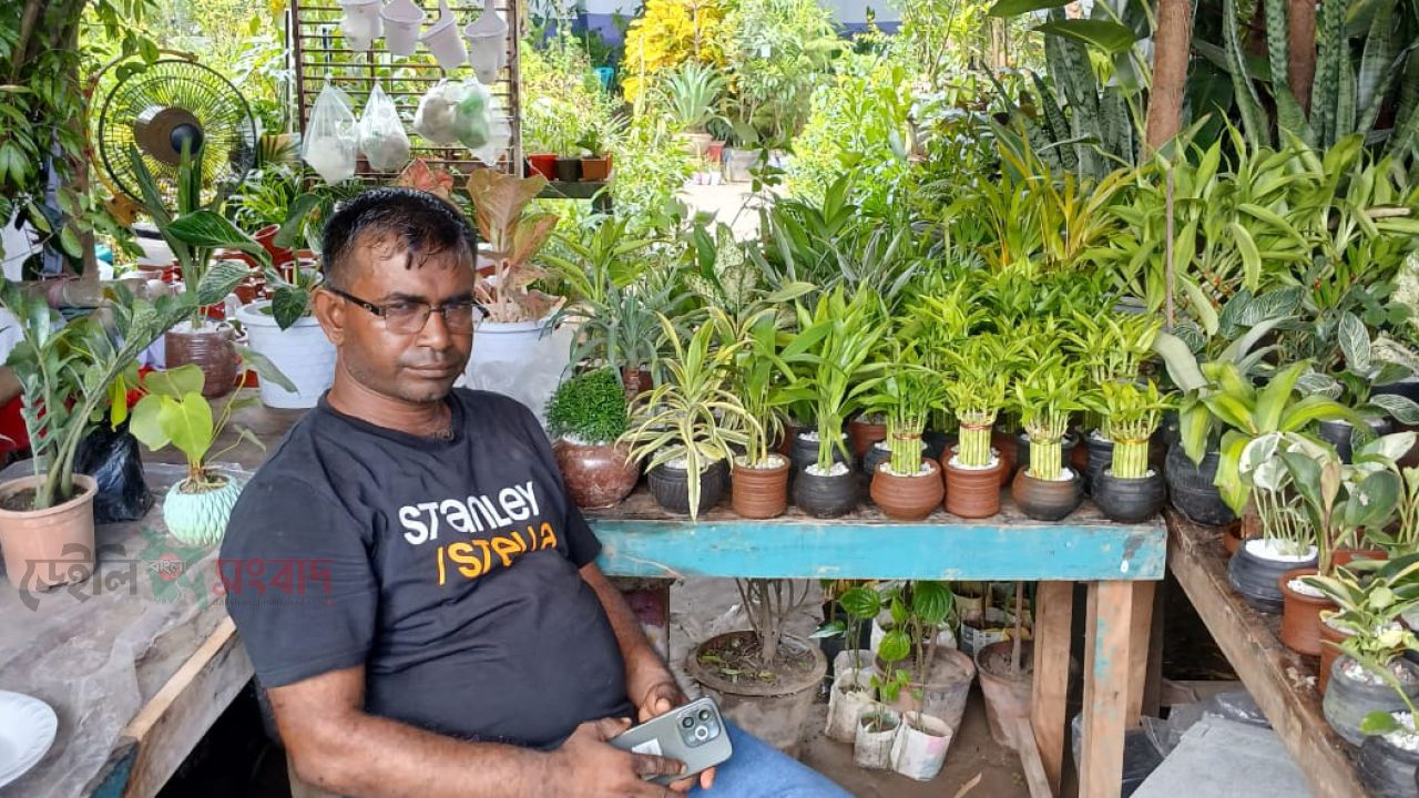 রাজশাহীতে চলছে বৃক্ষ মেলা 