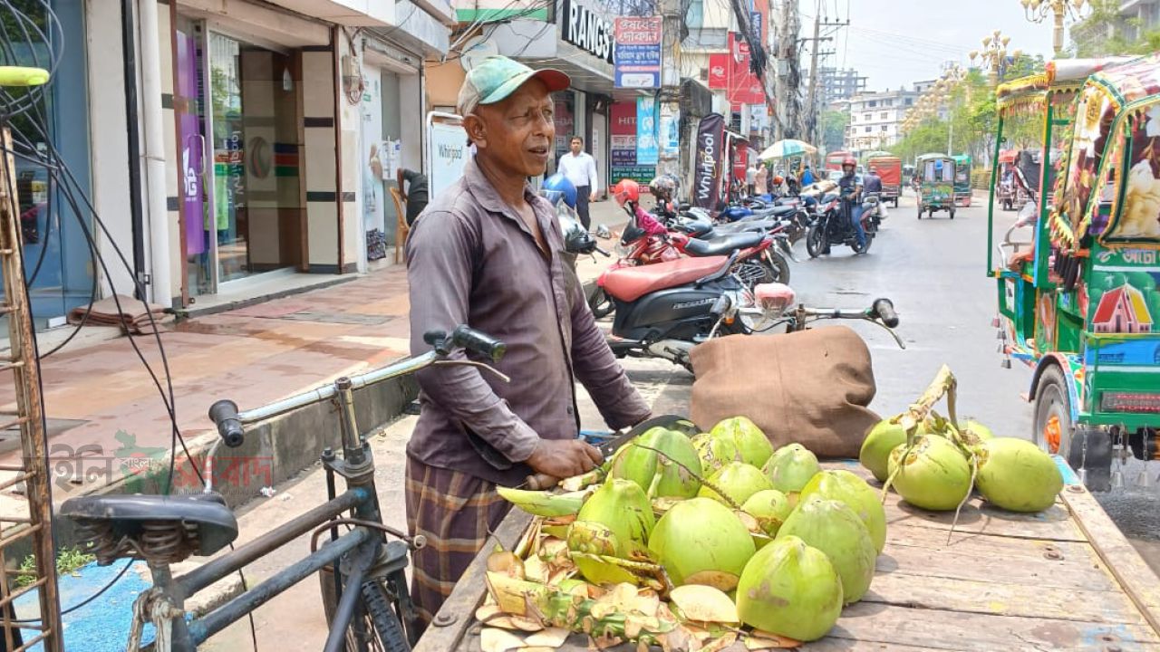 প্রচন্ড গরমে ডাবের পানি শরীর সতেজ রাখে 