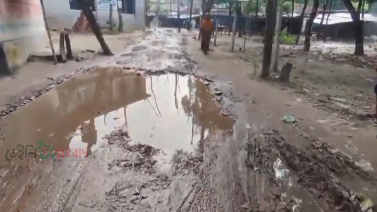 কালিয়াকৈর পৌর এলাকার আঞ্চলিক রাস্তার বেহাল দশা জনদুর্ভোগ চরমে 