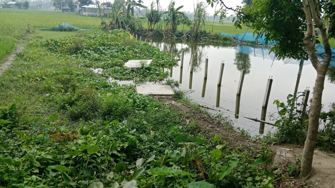 পীরগাছায় জমি কেনার ১৭ বছরেও দখল বুঝে না দিয়ে হয়রানির অভিযোগ বিক্রেতার বিরুদ্ধে  