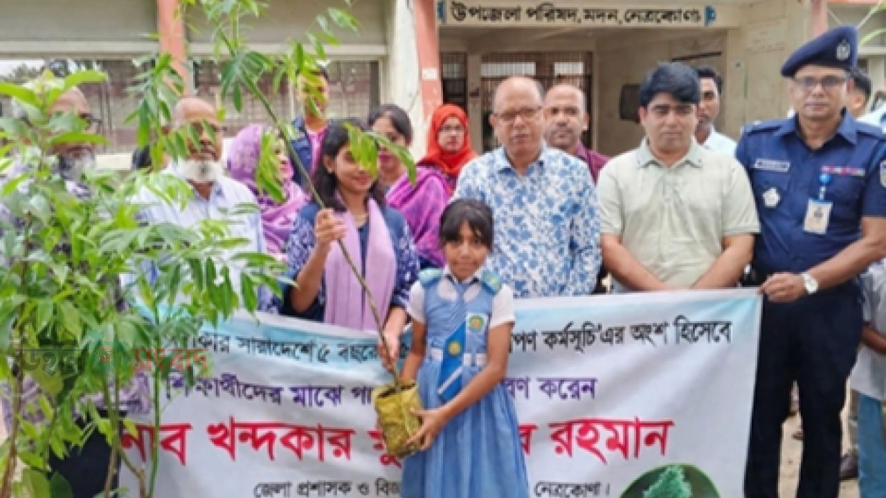 মদনে শিক্ষার্থীদের হাতে সবুজের চারা পরিবেশ রক্ষায় বৃক্ষরোপণের বিকল্প নেই: জেলা প্রশাসক
