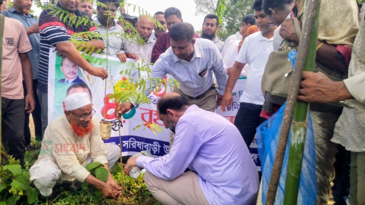 বিএনপির প্রতিষ্ঠাবার্ষিকীতে সরিষাবাড়ীতে বৃক্ষরোপণ কর্মসূচি বর্ণাঢ্য শোভাযাত্রা ও আলোচনা সভা