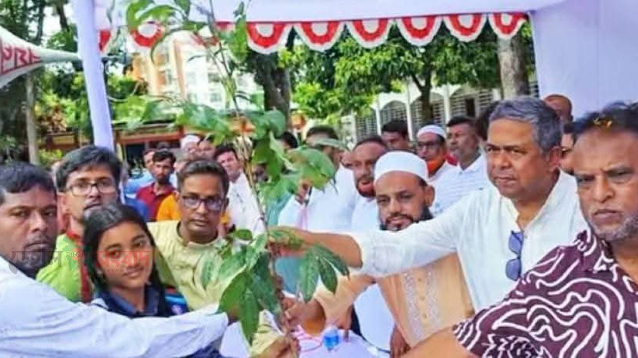বিএনপির ৪৮তম প্রতিষ্ঠাবার্ষিকীতে বৃক্ষরোপণ ও মাছের পোনা অবমুক্ত করলেন এমপি রফিকুল ইসলাম। 