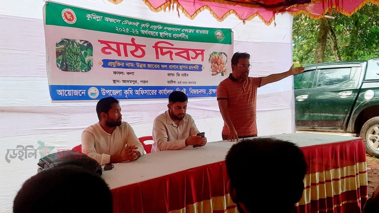 বিজয়নগরে উন্নত জাতের কলা চাষে মাঠ দিবস অনুষ্ঠিত 