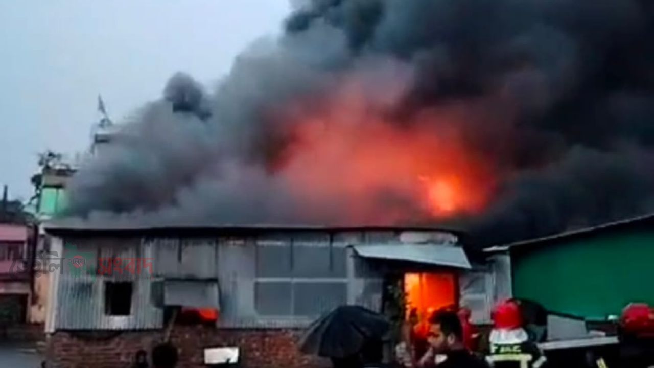 গফরগাঁও বাজারে অগ্নিকাণ্ডে তুলার গোডাউন সহ৬দোকান পুড়ে ৩০লাখ টাকা ক্ষতি ক্ষতিগ্রস্ত