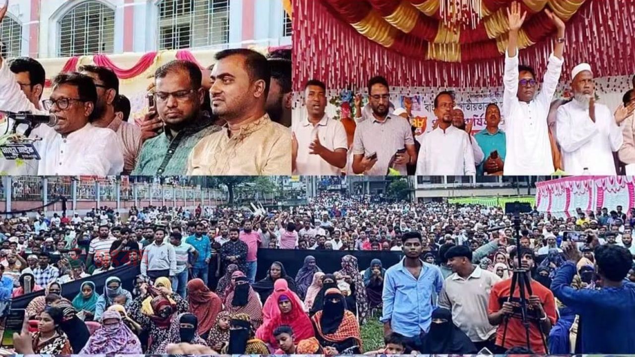 লালমাইয়ে বিএনপির প্রতিষ্ঠা বার্ষিকীতে বর্ণাঢ্য র‍্যালী ও বিশাল জনসমাবেশ অনুষ্ঠিত 