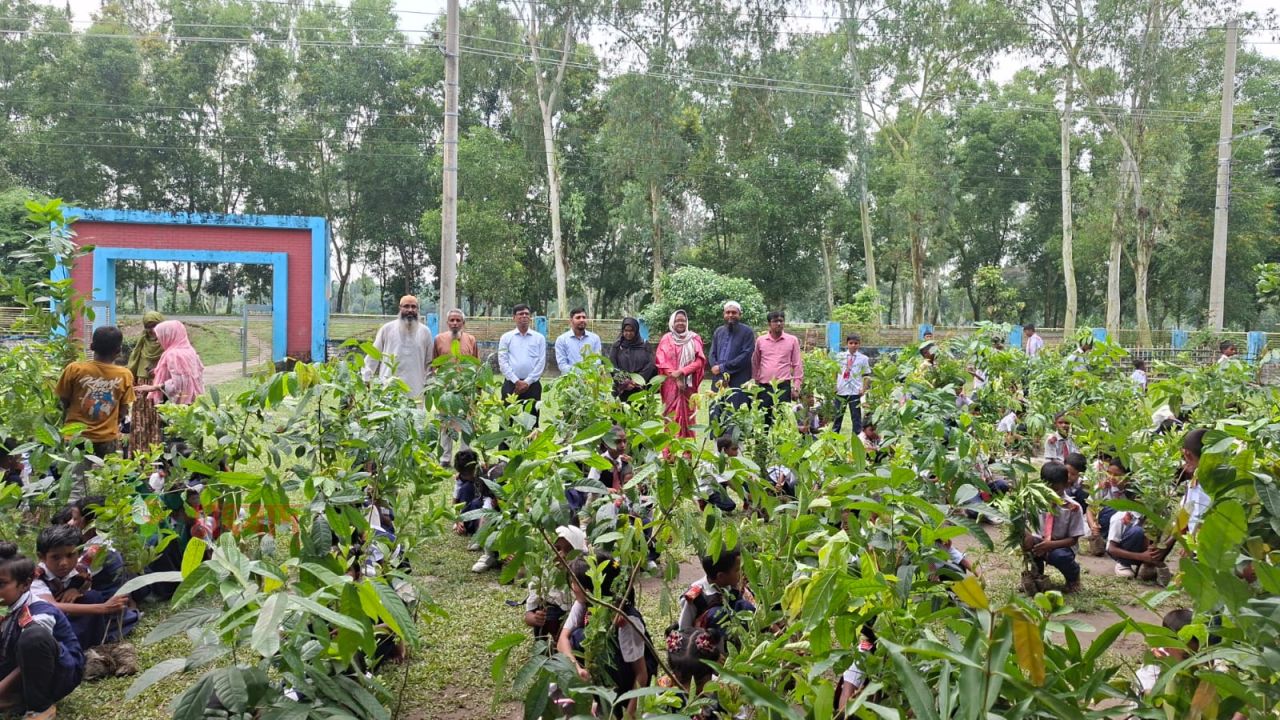 তেঁতুলিয়ায় বাবার স্মরণে সাইফুল প্রযুক্তি নার্সারীর    গাছের চারা বিতরন 
