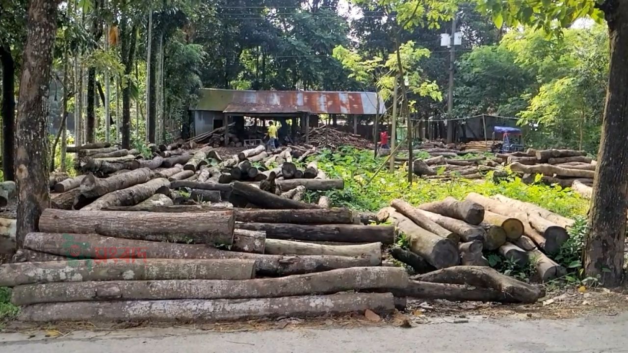 নেই অনুমোদন,সুনামগঞ্জের মঙ্গলকাটায় নিষেধাজ্ঞা অমান্য করে স মিল চালাচ্ছেন মিল মালিক আব্দুস সামাল