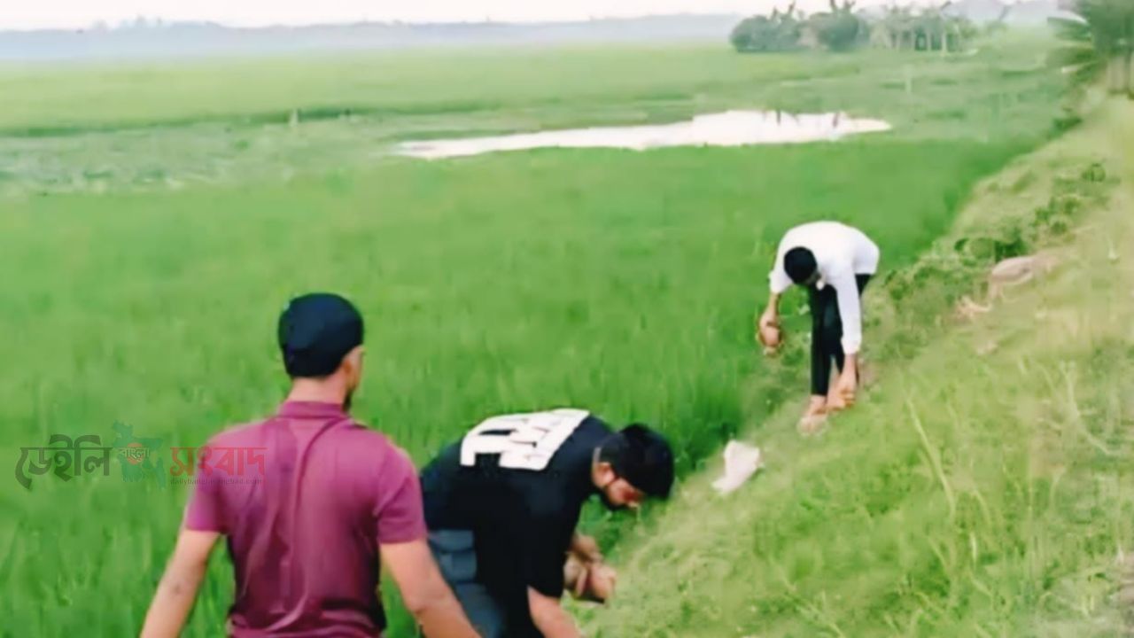 দেবীগঞ্জে বজ্রপাতের ঝুঁকি কমাতে এক হাজারের বেশি তালবীজ বপন