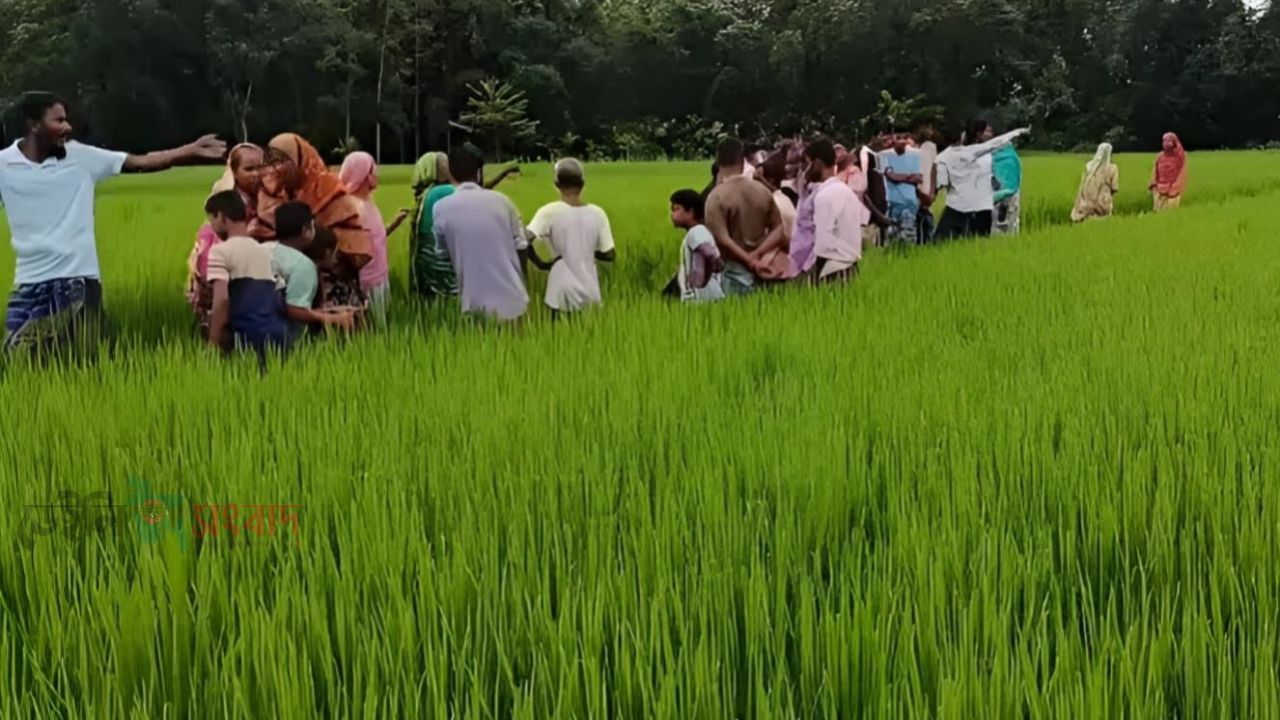 পঞ্চগড়ের দেবীগঞ্জে রাতে নিখোঁজ, সকালে কৃষিজমিতে মিলল নারীর মরদেহ
