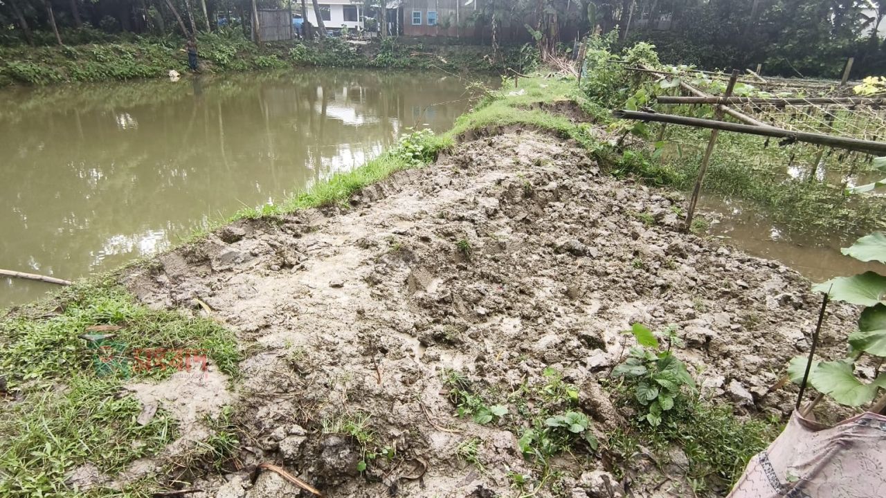 সরিষাবাড়ীতে পুকুরের পাড় কেটে মাছের ক্ষতি ও দখলের চেষ্টার অভিযোগ,- হুমকিতে ভুক্তভোগী পরিবার