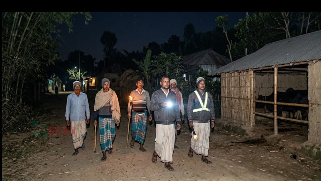তাড়াশে ২০ দিনে প্রায় ১৮ গরু চুরি, গ্রামবাসীর রাতজাগা পাহারা