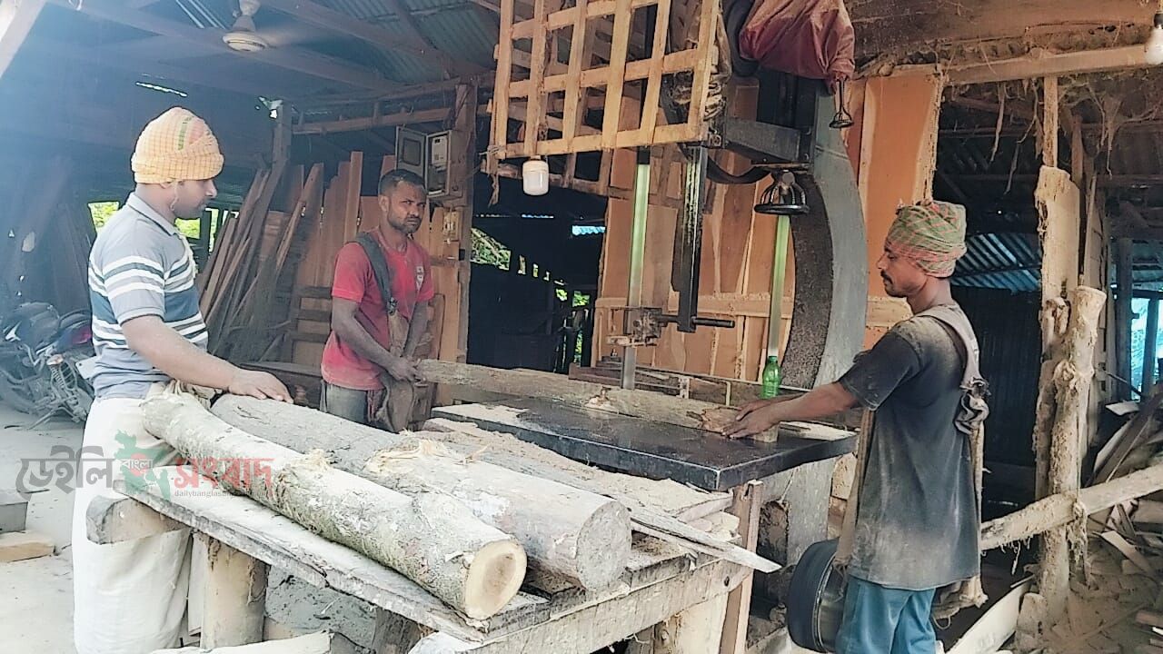 সরিষাবাড়ীতে বন বিভাগের লাইসেন্স ছাড়াই চলছে প্রায় ৮০ করাতকল