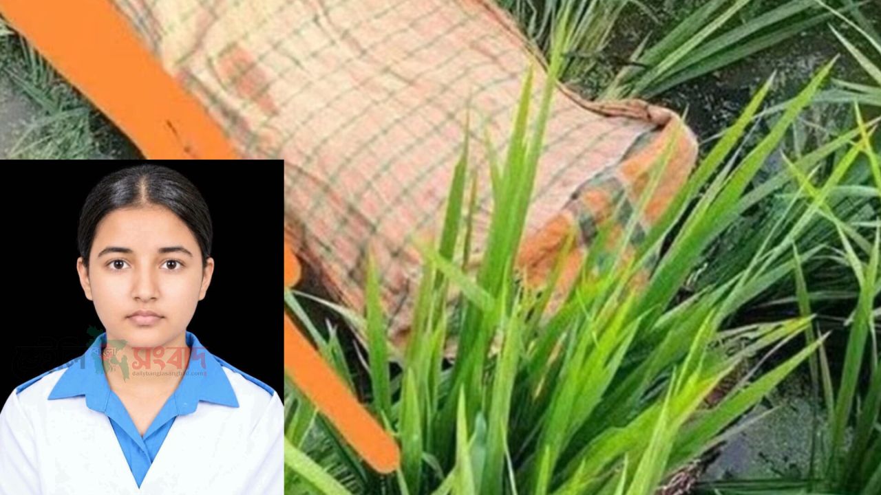 কুমিল্লায় ৭ম শ্রেণির ছাত্রী জান্নাতুলের মরদেহ মিলল ধানক্ষেতে