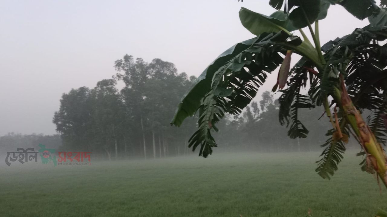 উত্তরে জেলা ঠাকুরগাঁওয়ে শীতের আগাম বার্তা 
