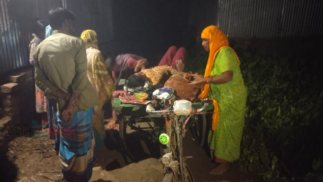 সরিষাবাড়ীতে বসত-বাড়িতে হামলা-লুটপাট, দুই নারীকে কুপিয়ে ও পিটিয়ে আহত 