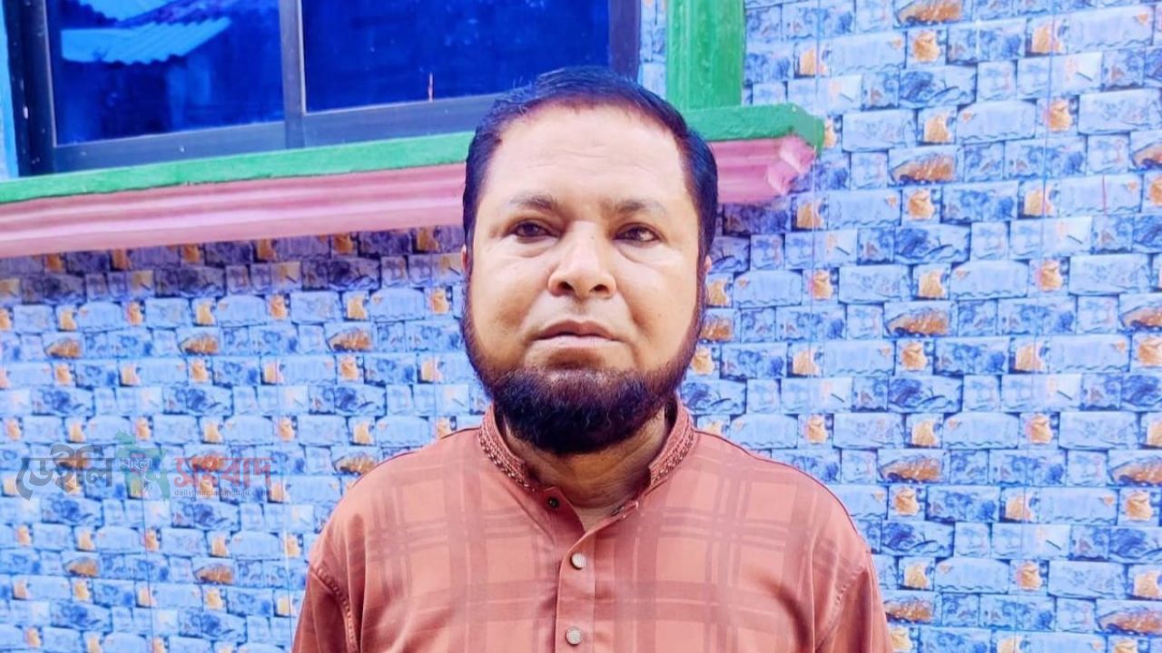বুড়িচংয়ে জামগাছের ডাল কাটতে গিয়ে বিদ্যুৎস্পৃষ্টে বিএনপি নেতার মৃত্যু