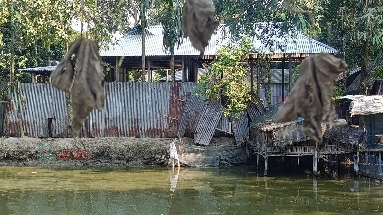 তারাকান্দায় আদালতের নির্দেশে অমান্য করে প্রতিবন্ধীর আমানুল্লা র জমি দখল করে ঘর নির্মাণের অভিযোগ 