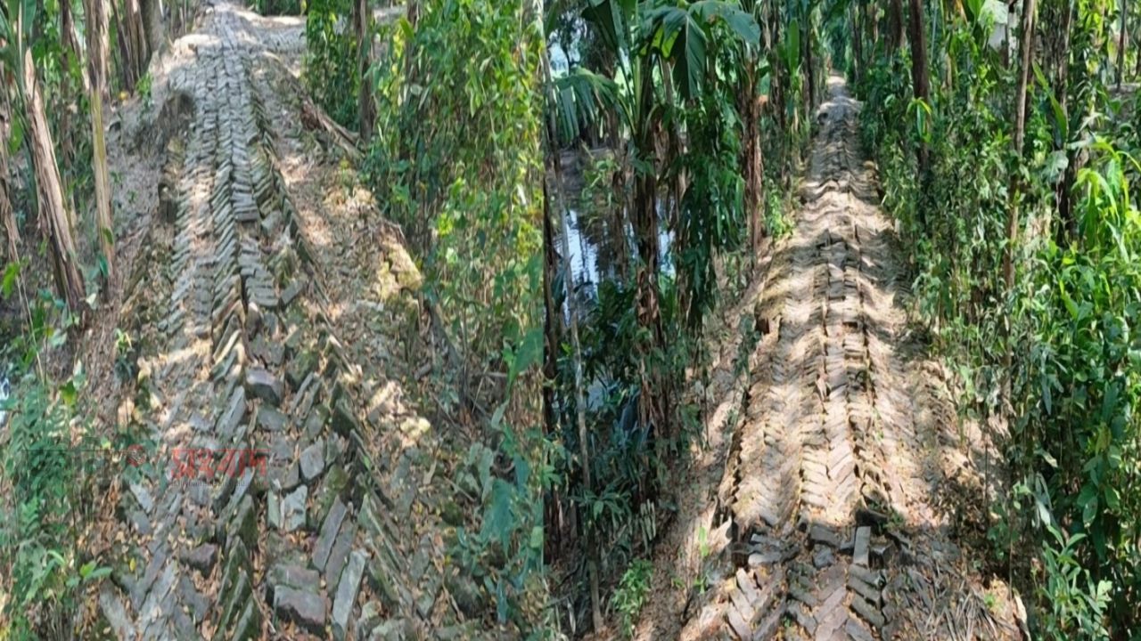 দুমকিতে ৮৫০ মিটার সড়কের বেহাল দশা, ভোগান্তিতে শিক্ষার্থী ও রোগীরা