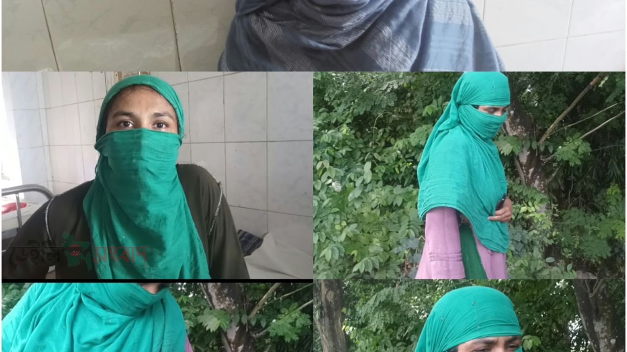মোল্লাহাটে জমি নিয়ে বিরোধ, অন্তঃসত্ত্বা নারীসহ দুজনকে মারধরের অভিযোগ