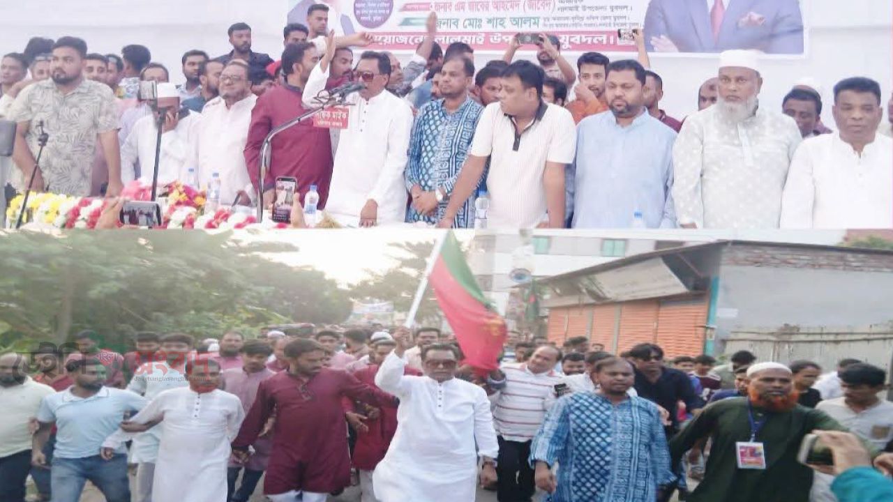 লালমাইয়ে যুবদলের ৪৮তম প্রতিষ্ঠাবার্ষিকী পালিত, বিশাল র&zwj;্যালি ও আলোচনা সভা অনুষ্ঠিত 